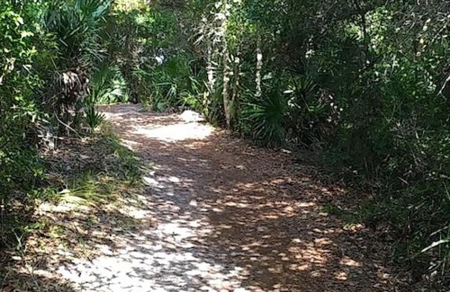 Rivocean Villa | Renovated Beach Bungalow Steps From the Dune – Across from Island Preserve