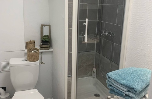 Sainte-Therese Apartment | Renovated cocooning studio near park clinic