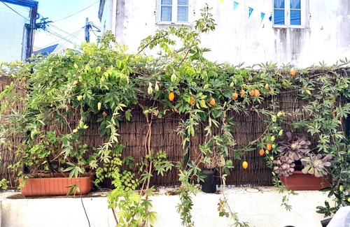 Groix House | Renovated house in town center, 3 bedrooms, near shops