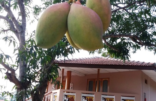 Pesalai House | rent a PL VILLAS with 7 air conditioning rooms and no air conditioning
