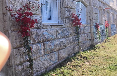 Nettuno Apartment | Rent apartment by the sea months: May June July August and September.