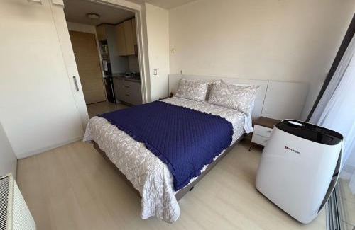 Providencia Apartment | RentApartNuevadeLyon12