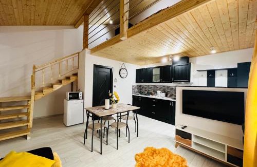 Livezeni Apartment | Reny's Studio Apartments -Hiperbara