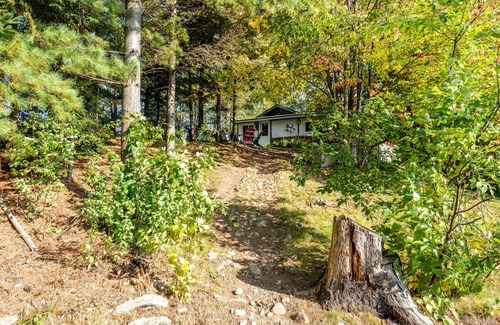 Republic Cabin | Republic Island - Lazy Days, Starry Nights & Total Seclusion – A Summer Dream