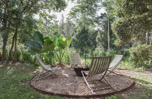 Tallebudgera Valley Other | RESET Tallebudgera Valley