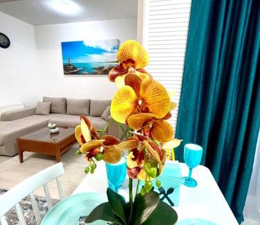 Ploiesti Apartment | Residence 3
