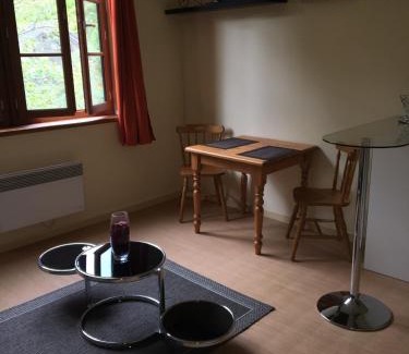 Aulus-les-Bains Apartment | Residence du Grand Hotel Studio 205