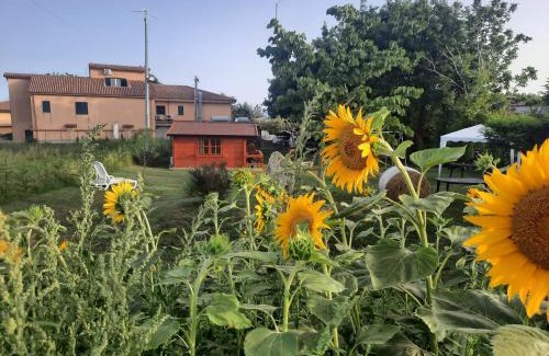 Joppolo Bed & Breakfast | Residence Il Tiglio
