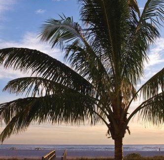 Treasure Island Hotel | Residence Inn by Marriott St. Petersburg Treasure Island