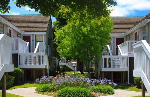 East San Mateo Hotel | Residence Inn by Marriott San Francisco Airport San Mateo