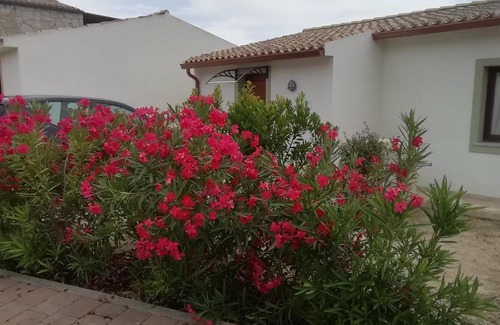 Sant'Antonio di Gallura House | Residence Vigna 2 casa gio