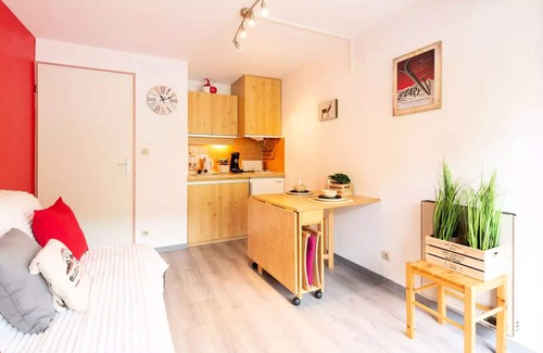 Pla d'Adet Apartment | Residence Le Grand Shuss - APARTMENT TYPE 2 FOR 4 PERSONS ADEET PLA
