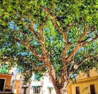 Llanca Hostel | Residencia Sant Jordi Llança