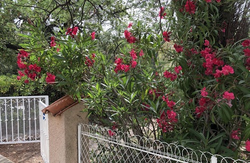 Boulouris-sur-Mer Apartment | Residential area Garden level of villa, beach on foot!