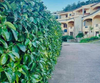 S'Iscala House | Residenza Corallo