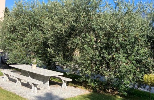 Melano Apartment | RESIDENZA GIOVANNI