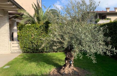 Rivoltella House | Residenza Puccini