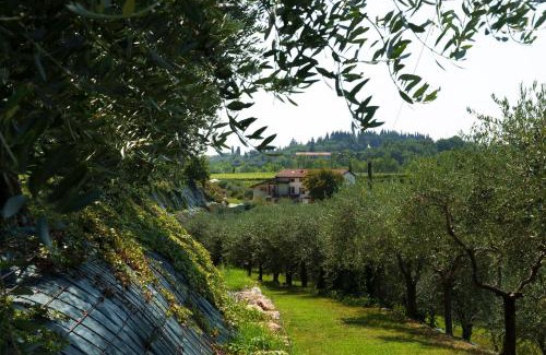 Bussolengo Bed & Breakfast | Residenza Vesentini