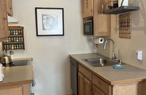 Taos Ski Valley Condo | Resort Village Modern Studio Condo