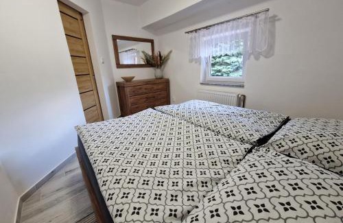 Nove Mesto pod Smrkem Apartment | Restaurace U Matěje B&B