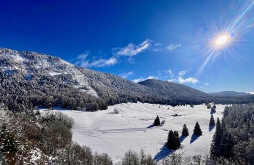 Saint-Martin-en-Vercors Hotel | Restaurant Hôtel du Vercors