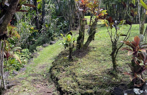 Hilo House | Restored Historic Mansion with Modern Amenities Steps to the Beach!