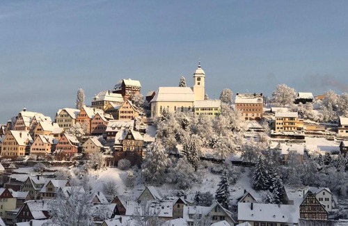 Altensteig Apartment | Retro Ferienwohnung mit Schlossblick im Nordschwarzwald