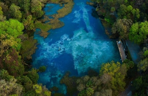 Hernando House | Retro glamping on the lake