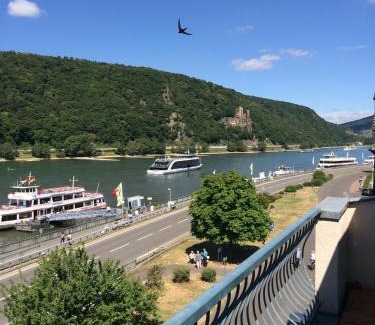 Mainz-Bingen Apartment | Rheinblick Apartment