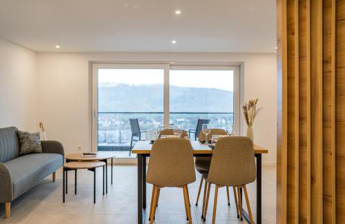 Waldshut-Tiengen Apartment | Rheinblick Apartment 1