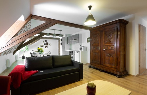 Selestat Apartment | RHENANUS: Hans Sapidus 🐕‍🅿️🗝
