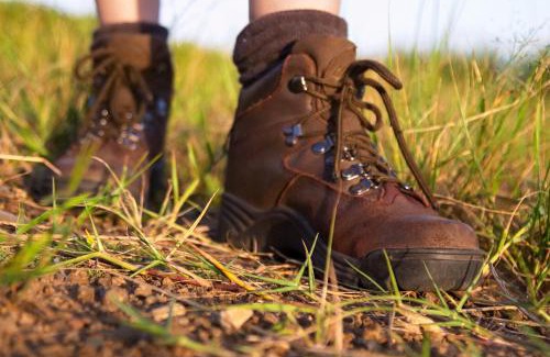Kruger National Park House | Rhino Walking Safaris