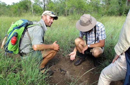 Kruger National Park House | Rhino Walking Safaris