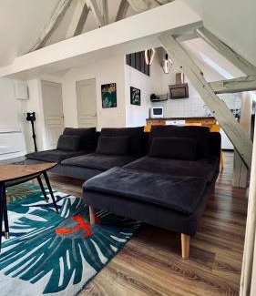 Auxerre Apartment | RhizHome - Coeur de ville, appartement spacieux