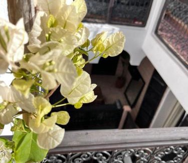 Medina House | Riad Black Doors