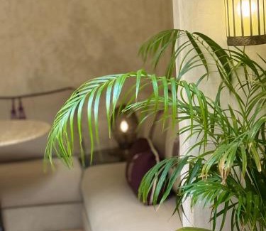 Riad Zitoun Jdid House | Riad Dar More