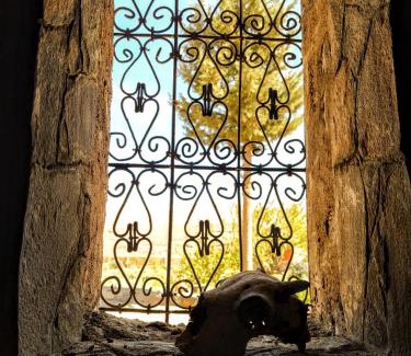 Tilmi House | Riad LA BELDIA