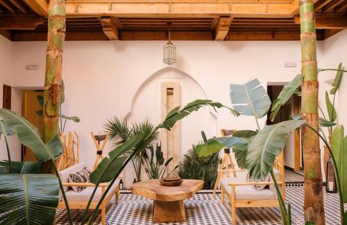 Sidi Bou Amar Bed & Breakfast | Riad Le Pèlerin