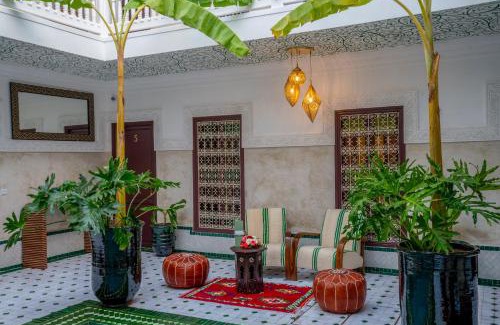 Sidi Bou Amar House | Riad les palmiers de la medina