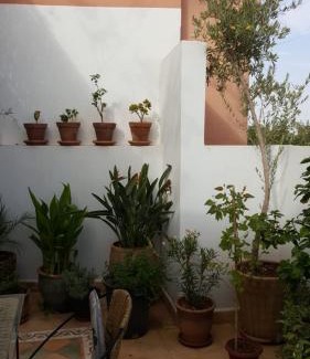 El Hara House | Riad Medina