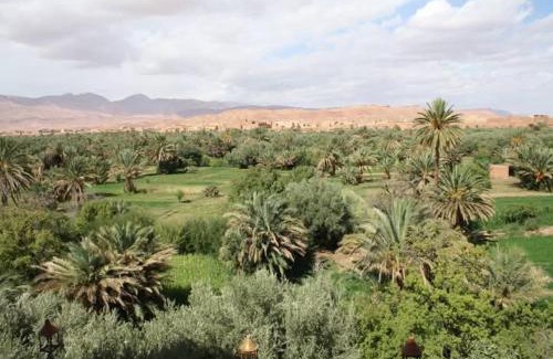 Tinghir Hotel | Riad Palmabella