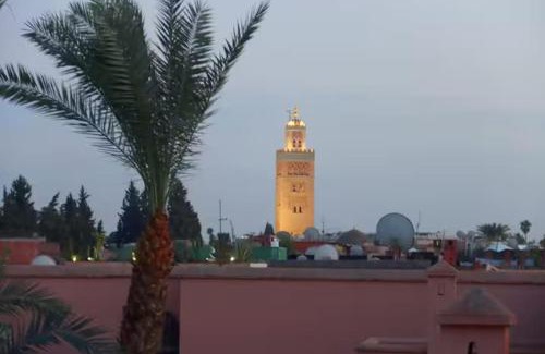 Bab Doukkala House | Riad Ptit Kech, Bassin terrasse - Petits déjeuners