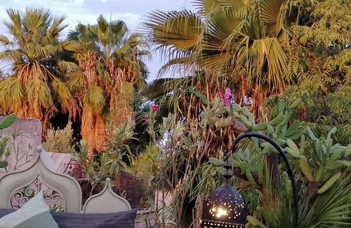 Riad Zitoun Jdid House | Riad Swaka