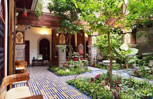 Ain Azlitan House | Riad Toyour- Riad of birds