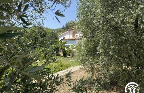 Eus House | Ribelles