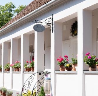 Parad Apartment | Ribizli Vintage Vendégház