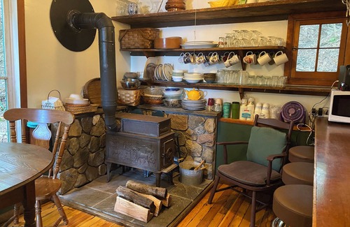 Trumansburg Cottage | Rice Cottage,Cayuga Lake,NY,rustic,historic,stone beach, fish, birds,sustainable