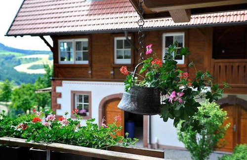 Zell am Harmersbach Apartment | Riehle Hof