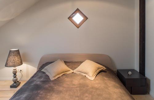 Agenskalns Apartment | Riga Luxury Loft with Terrace