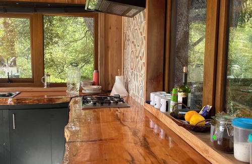 Malalcahuello Cabin | Rincon del Bosque